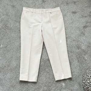 Ann Taylor Signature 24" Ankle Texture Winter White Dress Pants Sz 10 Office